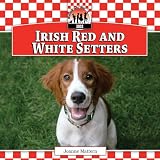 Irish Red and White Setters (Dogs)