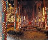 Review Everstar  / Set Of 150 Multi Net Style Tree Trunk Wrap Christmas Lights 6' x 1.5' #ES76-810