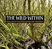 The Wild Within: Wetlands of the Washington Park Arboretum