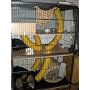 FE092 Nagervoliere Chinchillak�fig Frettchenk�fig &hellip von happypet