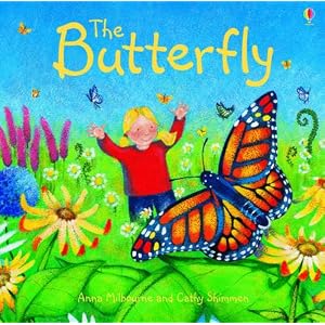 Butterfly (Usborne Picture Books)