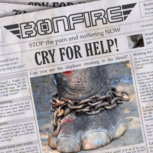Produkt-Bild: Cry4help