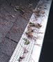 Gutter Screen - Set of 5 (White) (35"L x 6 1/2"W (each of 5 panels))