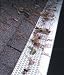 Gutter Screen - Set of 5 (White) (35"L x 6 1/2"W (each of 5 panels))