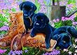 Black Lab Puppies (35 Piece Tray Puzzle) Black Lab Puppies (35 Piece Tray Puzzle)
