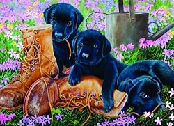 Black Lab Puppies (35 Piece Tray Puzzle)