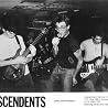 Image of Descendents