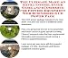 The Ultimate Make An Extra Income, Inner Game and eCommerce for Fitness Equipment Web Businesses 3 CD Power Pack