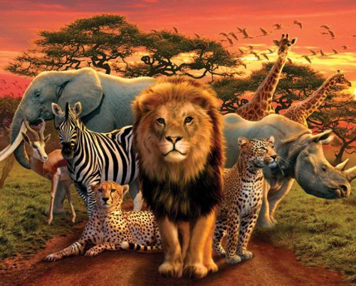 Empire 522429 Afrika African Kingdom - Animals - Elefant L&ouml;we Nashorn Gepard Mini-Poster - Druck - Gr&ouml;sse 50 x 40 cm