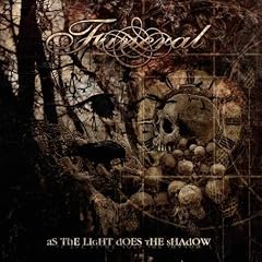 As the Light Does the Shadow