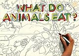 What do animals eat?
