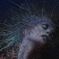 In The Absence of Light