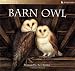 The Barn Owl (Animal Lives)