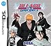 Bleach: Dark Souls (Nintendo DS)