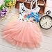 Kids Girls Princess Rose Garden Flower Petal Lace Ruffled Tulle Skirts Dresses