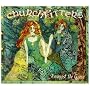 Amongst the green ~ Churchfitters