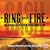 Ring of Fire: The Johnny Cash Musical Show