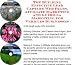 Book The Guerilla Marketing, Building Effective Lead Capture Web Pages, Affiliate Marketing for Utility Vehicles Businesses