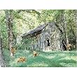 Wall's Flush 550pc Jigsaw Puzzle