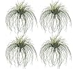 FOUR 21" Grass Bushes Artificial Silk Plants