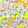 Puntini Italian Jujubes - 2lb