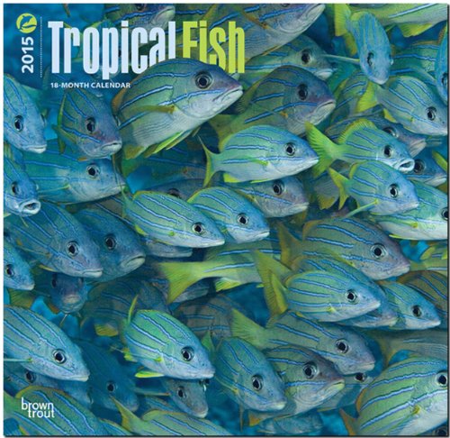 Tropical Fish 2015 Square 12x12 (Multilingual Edition)