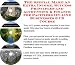 The Special Make An Extra Income, Success Principles and Accounting & Finance for Pacifiers On-line Businesses 3 CD Course