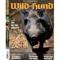 Wild und Hund