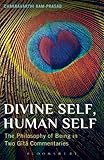 Divine self, human self : the philosophy of being in two Gita commentaries