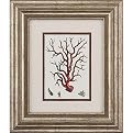 Set of 2 Red Coral Framed Art - Red