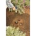 Yard Butler RP-3 24-Inch Roto Planter (Discontinued by Manufacturer)