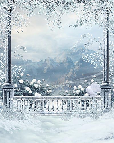 6.5 Ft*5 Ft (200 Cm*150 Cm) Winter Freezing Fountain Scenic Children Photography Backdrop Garret Balcony Frozen Branches Wedding Photo Studio Backgrounds GL-890