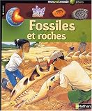 Fossiles et roches
