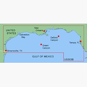 GARMIN BLUECHART MUS303B GULF OF MEXICO BATHYMETRIC by Garmin