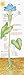 COLOSSAL POSTER PLANT PARTS & PHOTO