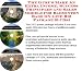 Book The Guru's Make An Extra Income, Success Principles and Sales Models for Badminton Bags On-line Biz Package (3 CDs)