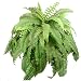 67 Leaves Realistic Boston Fern Bush Silk Plant Artificial 67t