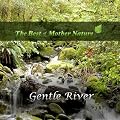 Babbling Brook - Nature Sounds CD