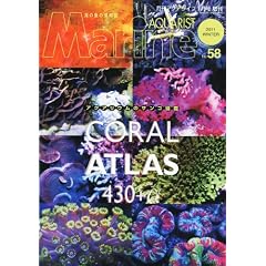 マリンアクアリスト NO.58 2011年 1月号