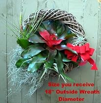 Living Air Plant Bromeliad Wreath - Great Gift - Easy