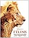 F�lins, le royaume du courage, Keith scholey