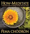 How to Meditate with Pema Chodron: A Practical Guide to Making Friends with Your Mind