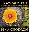 How to Meditate with Pema Chodron: A Practical Guide to Making Friends with Your Mind