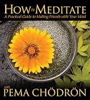 How to Meditate With Pema Chodron: A Practical Guide to Making Friends With Your Mind
