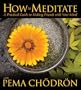 How to Meditate with Pema Chodron: A Practical Guide to Making Friends with Your Mind