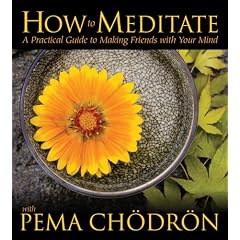 How to Meditate with Pema Chodron: A Practical Guide to Making Friends with Your Mind