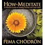 How to Meditate with Pema Chodron: A Practical Guide to Making Friends with Your Mind