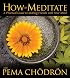 How to Meditate with Pema Chodron: A Practical Guide to Making Friends with Your Mind
