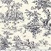 P Kaufmann Toile Central Park Black/Ivory