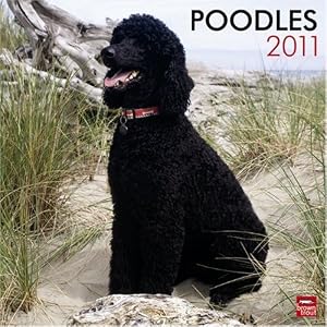 Poodles 2011 Square 12X12 Wall Calendar by BrownTrout Publishers Inc
